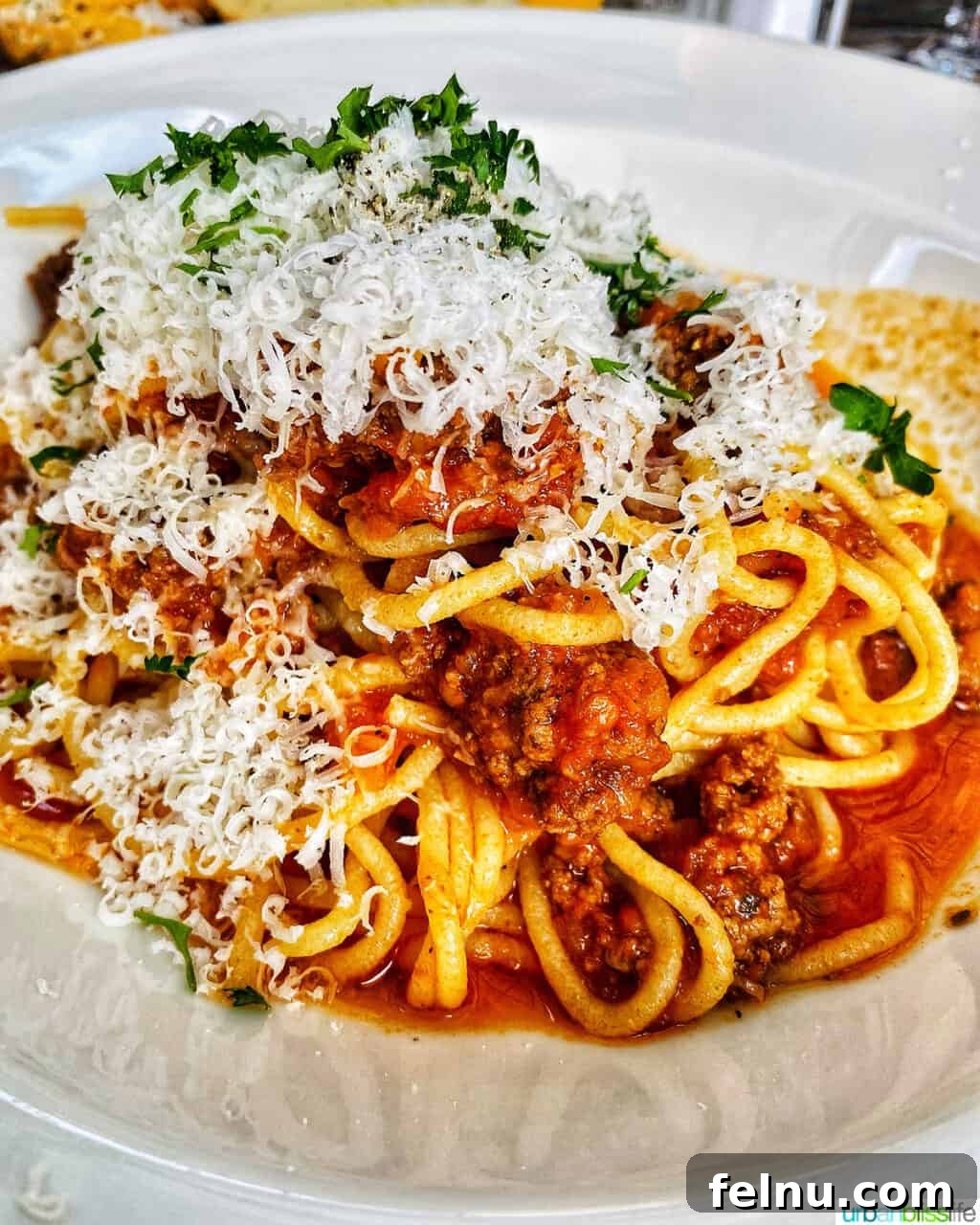 Allora's Table: A Culinary Journey 7 Spaghetti Sugo di Carne at Allora Restaurant