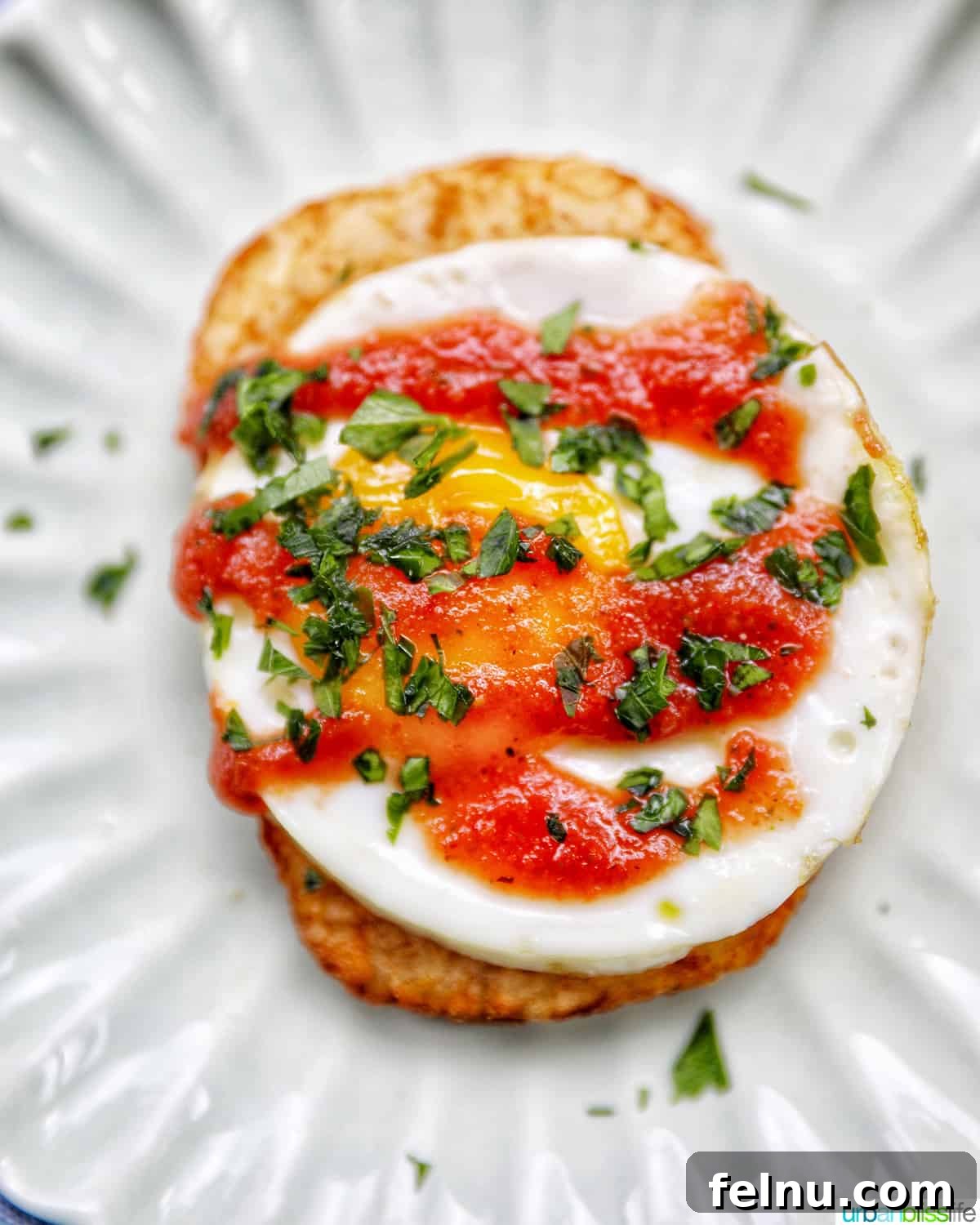 Air Fried Golden Hash Browns 9 air fryer hash brown patties with eggs and salsa