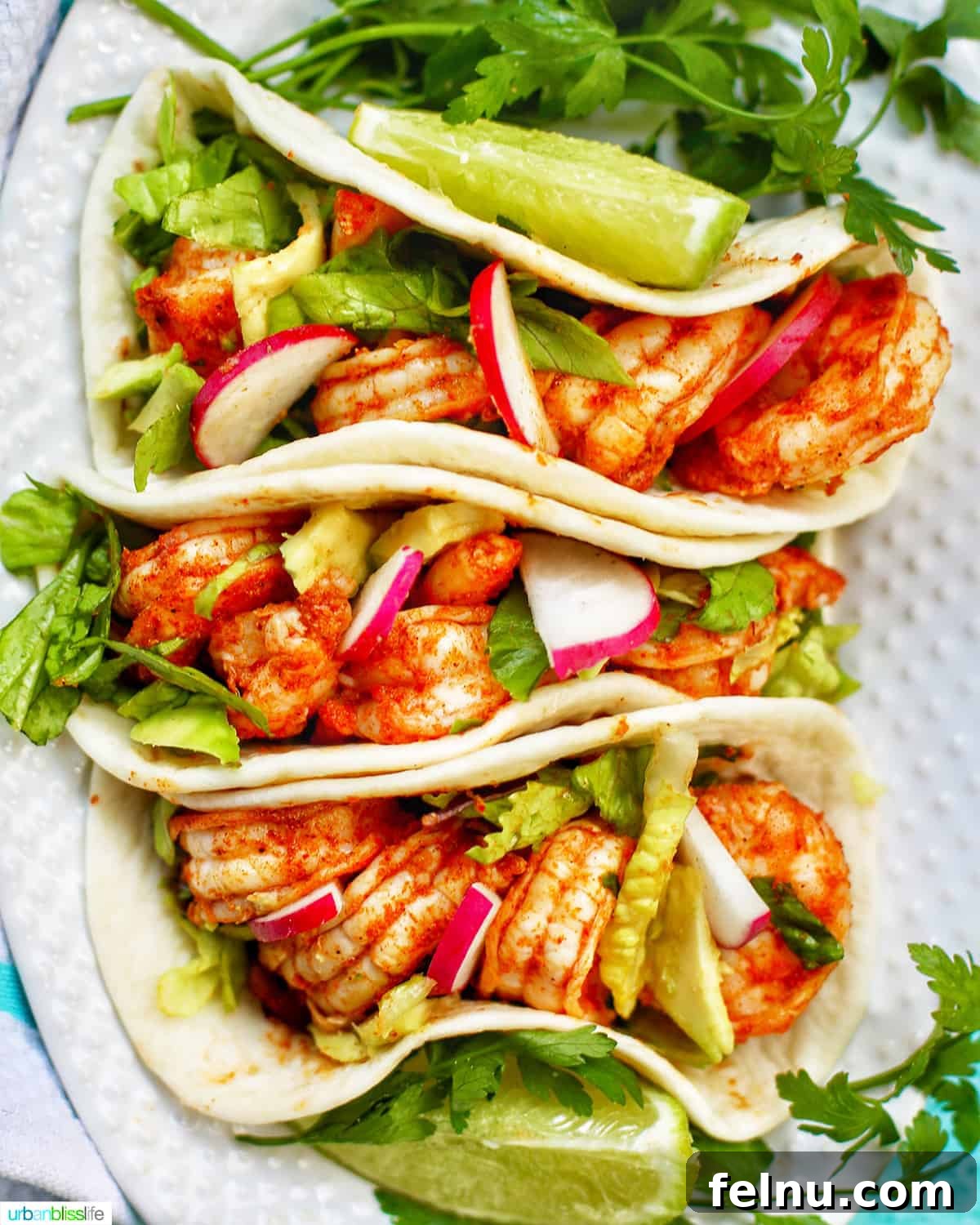 Sparkling Margarita Bliss 12 Chipotle Lime Shrimp Tacos with fresh toppings