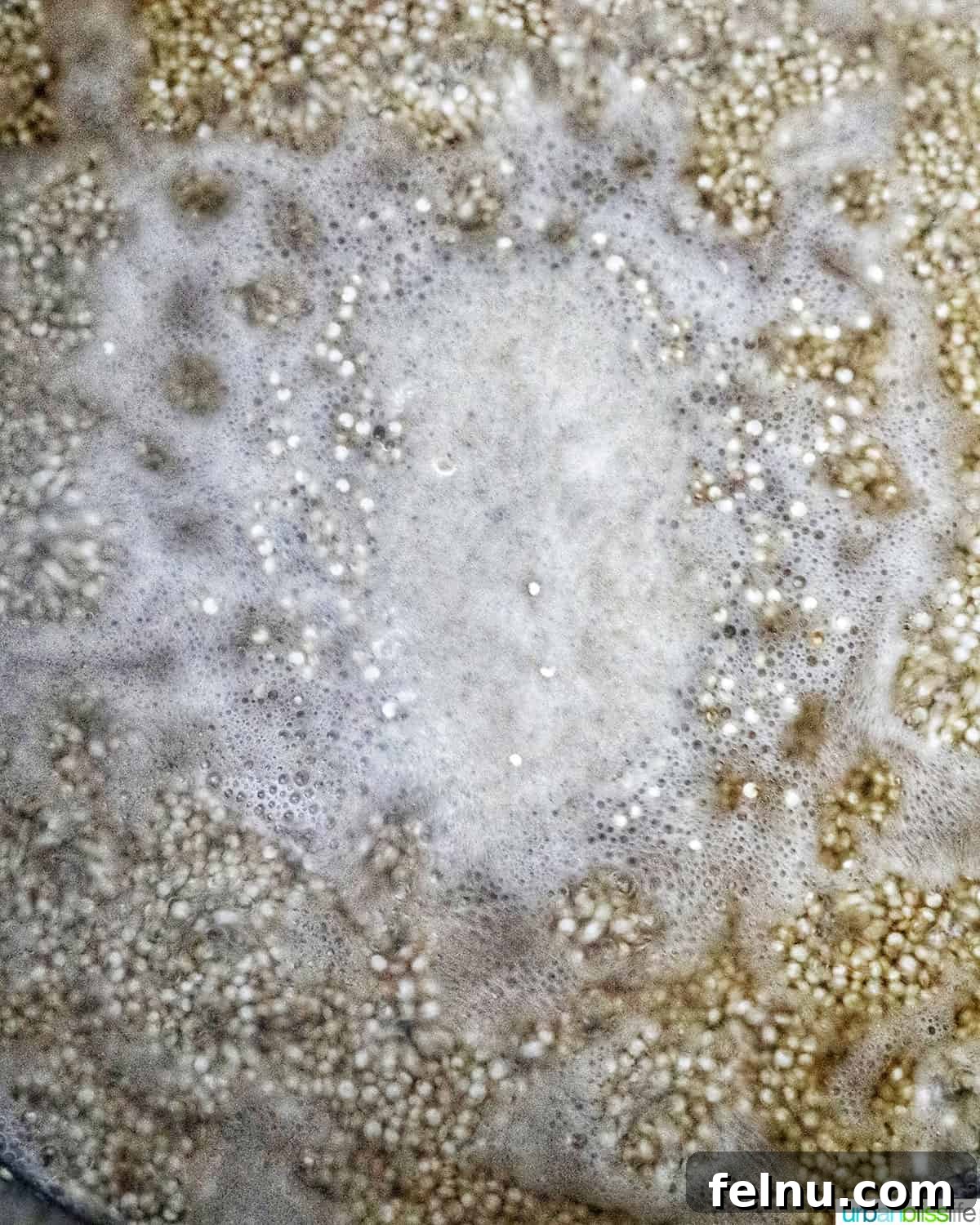 Cooking quinoa in a pot