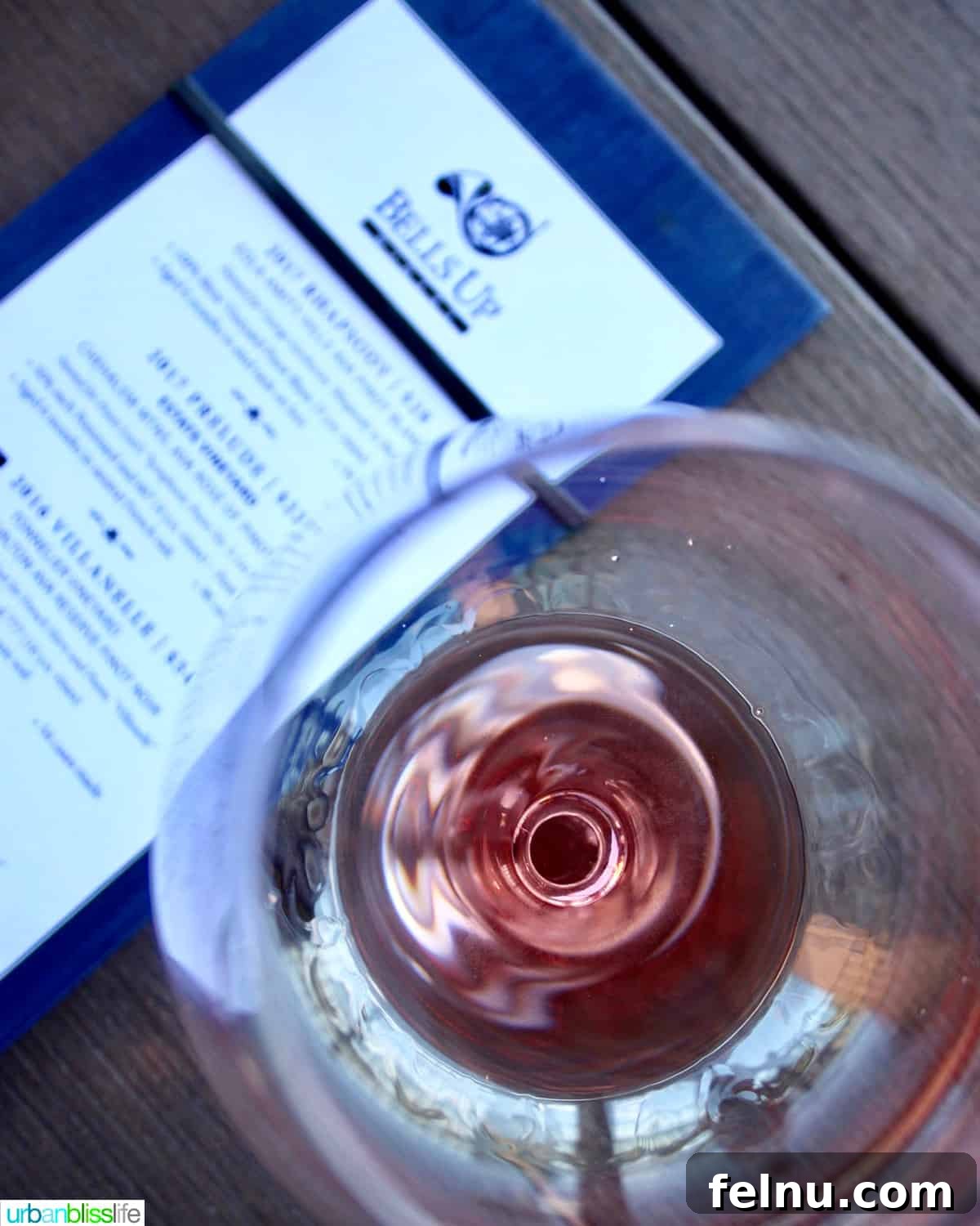 Bells Up Cellars 4 Overhead photo of red wine and tasting menu at Bells Up Winery