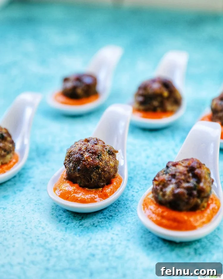 First Class Flight 12 Savory Meatballs with Romesco Sauce for an appetizer spread.