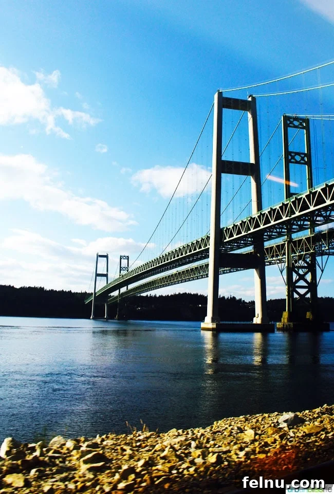 Scenic views from the Amtrak Cascades