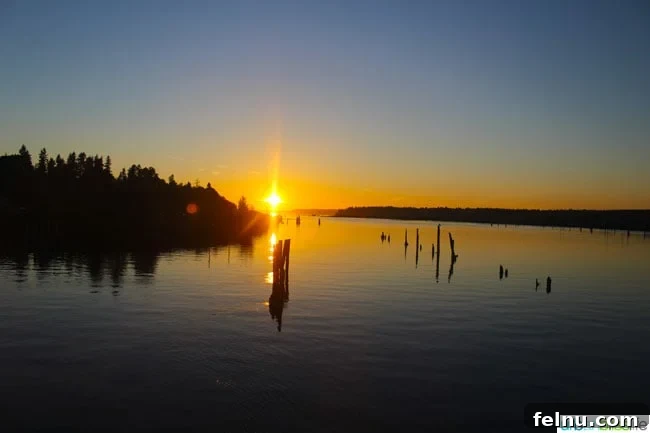 Relaxing on the Amtrak Cascades