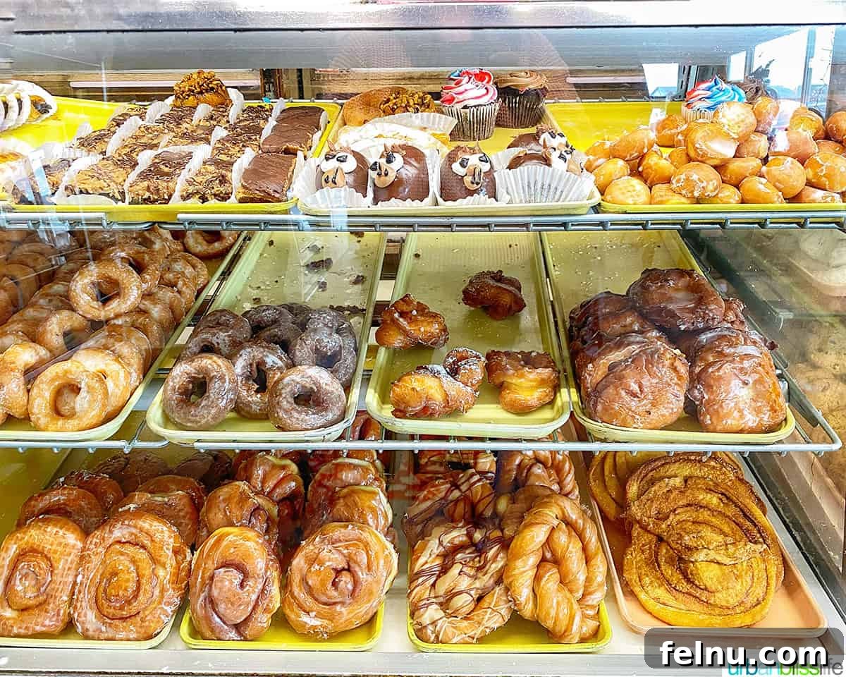 Bandon, Oregon: Your Ultimate Travel Guide 15 Selection of donuts at Sugar Shack in Reedsport, Oregon