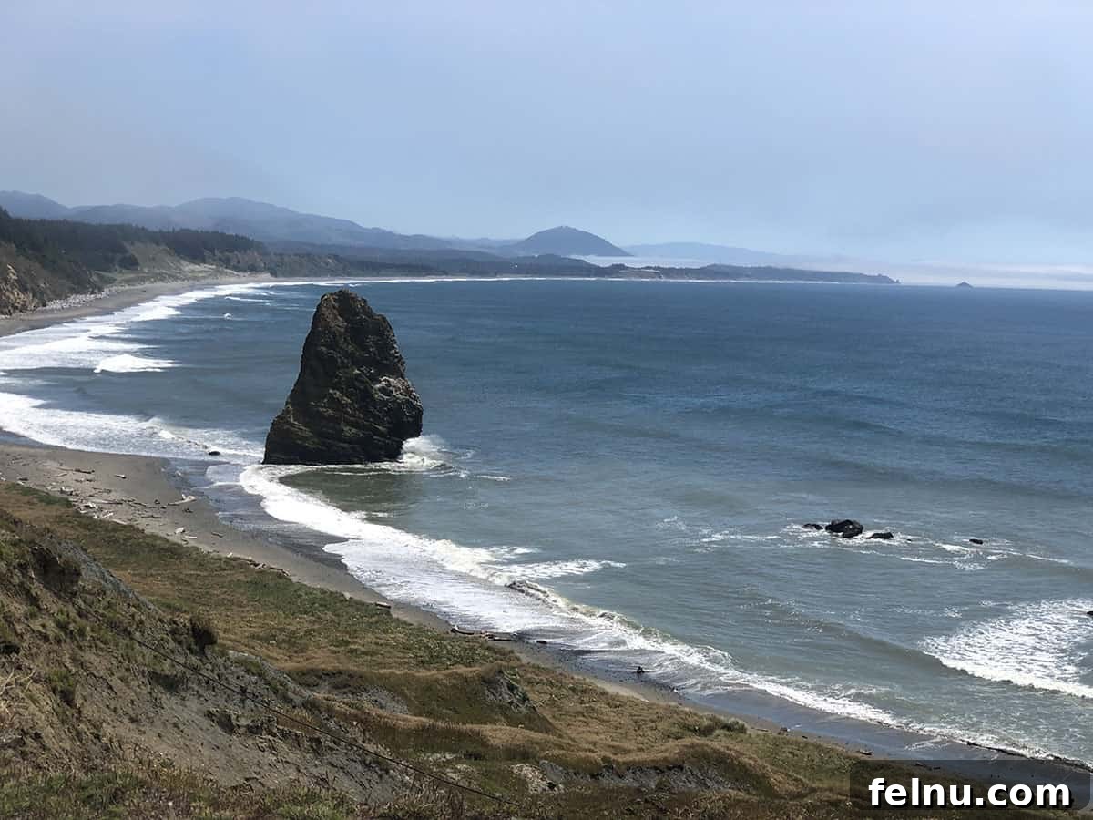 Bandon, Oregon: Your Ultimate Travel Guide 16 Beach at Cape Blanco in Oregon