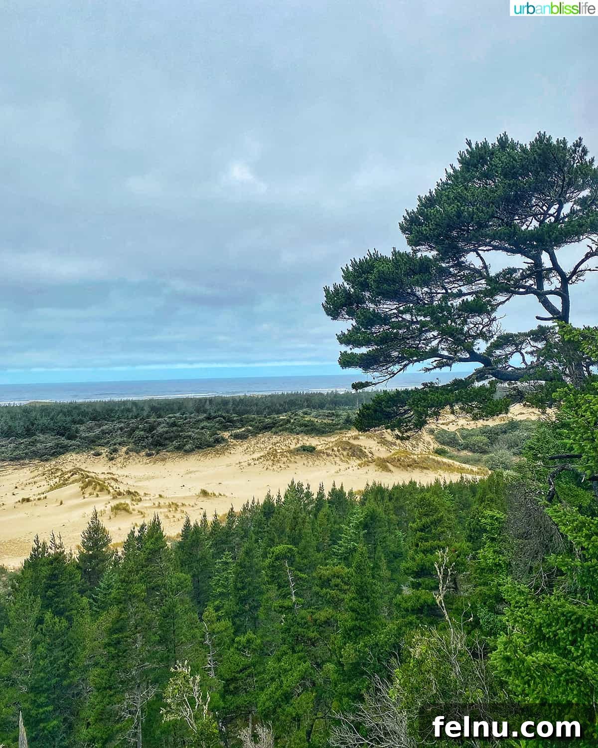Bandon, Oregon: Your Ultimate Travel Guide 17 Oregon Dunes near Bandon