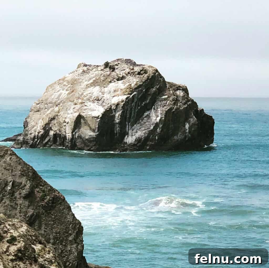 Bandon, Oregon: Your Ultimate Travel Guide 5 Face Rock State Park in Bandon, Oregon