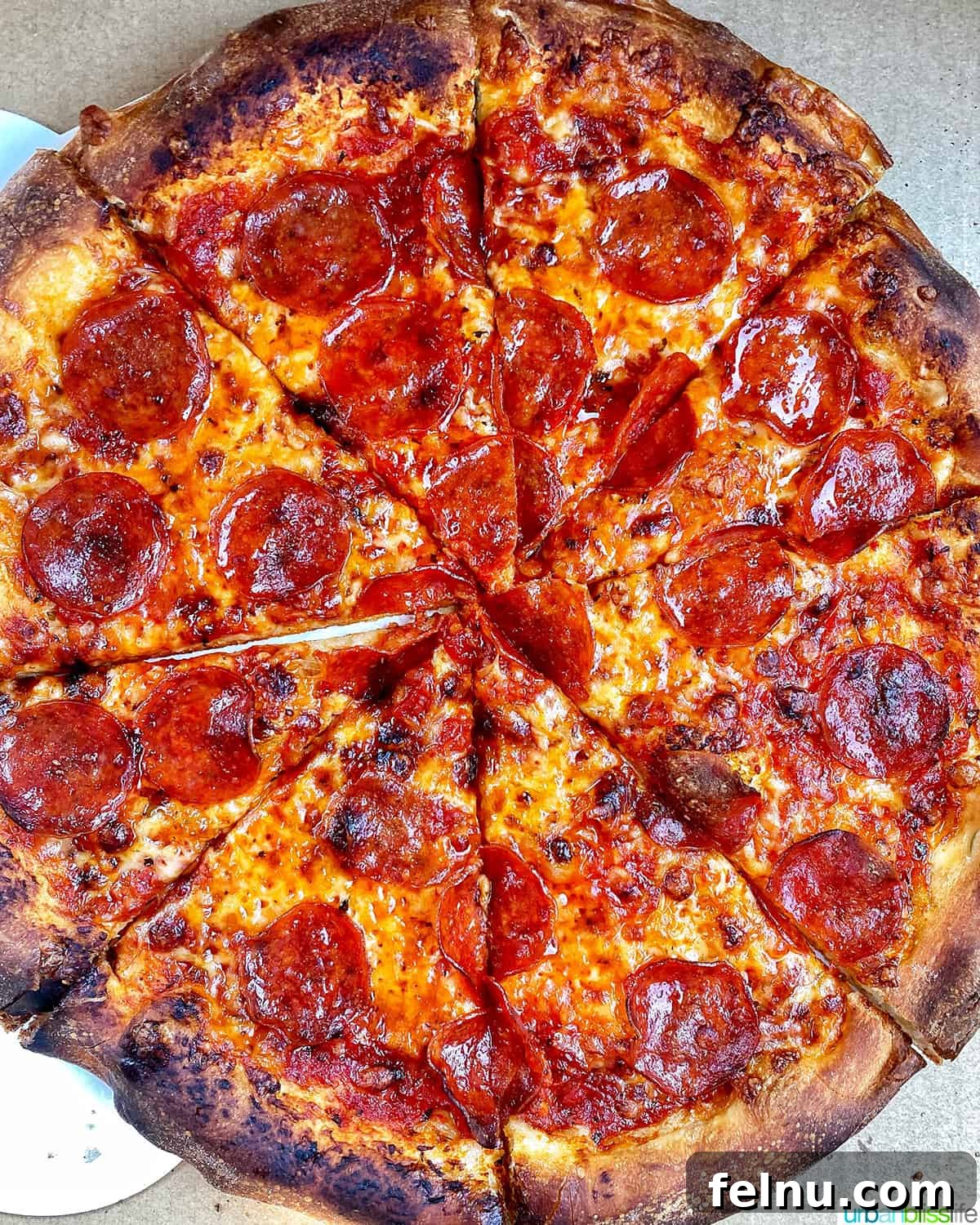 Bandon, Oregon: Your Ultimate Travel Guide 10 Bandon Brewing pepperoni pizza