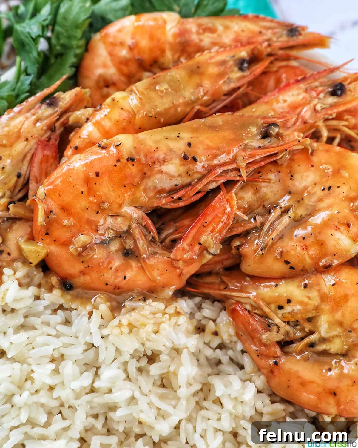 Shrimp Adobo with Coconut Cream 2 Shrimp Adobo with Rice: A Delicious Filipino Dish