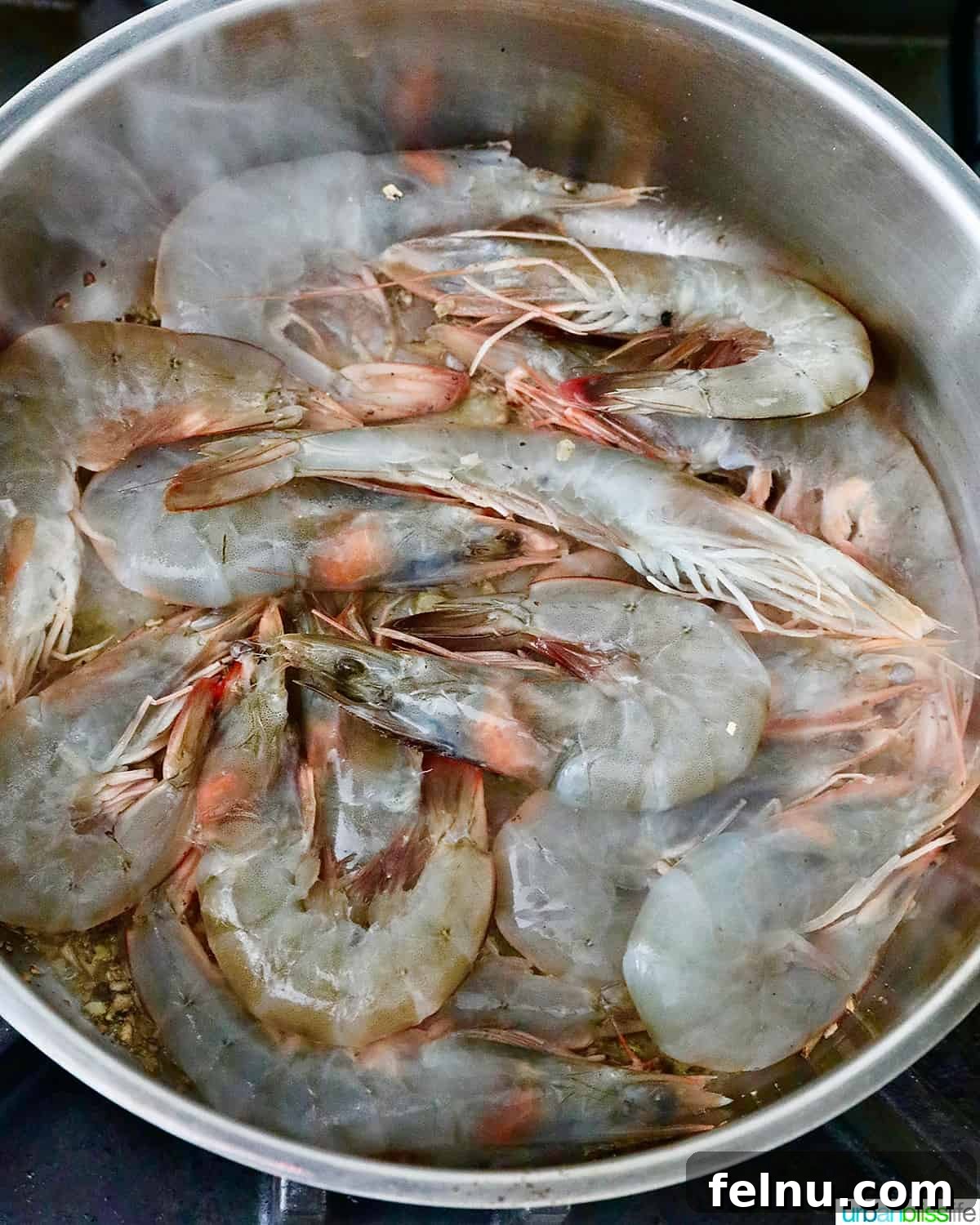 Shrimp Adobo with Coconut Cream 7 Raw Shrimp in a Pan: Ready to Absorb the Flavors