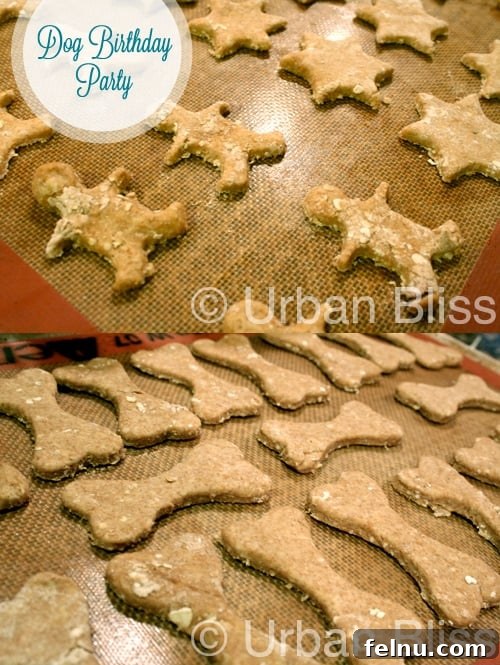 Wholesome Oat Dog Biscuits 5 Dog Birthday Party