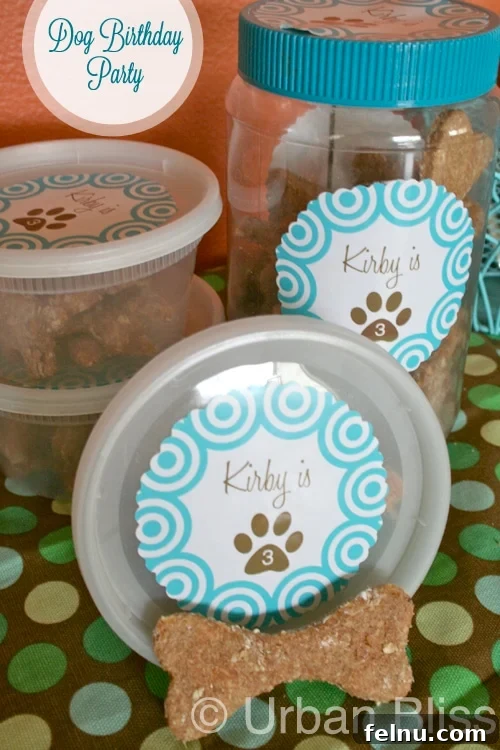 Wholesome Oat Dog Biscuits 3 homemade dog treats in containers