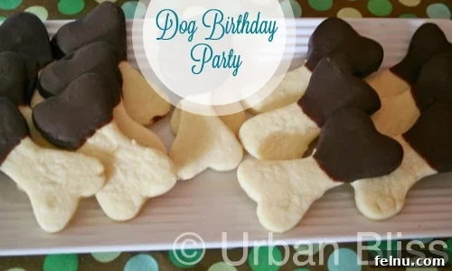 Wholesome Oat Dog Biscuits 4 Dog Birthday_04