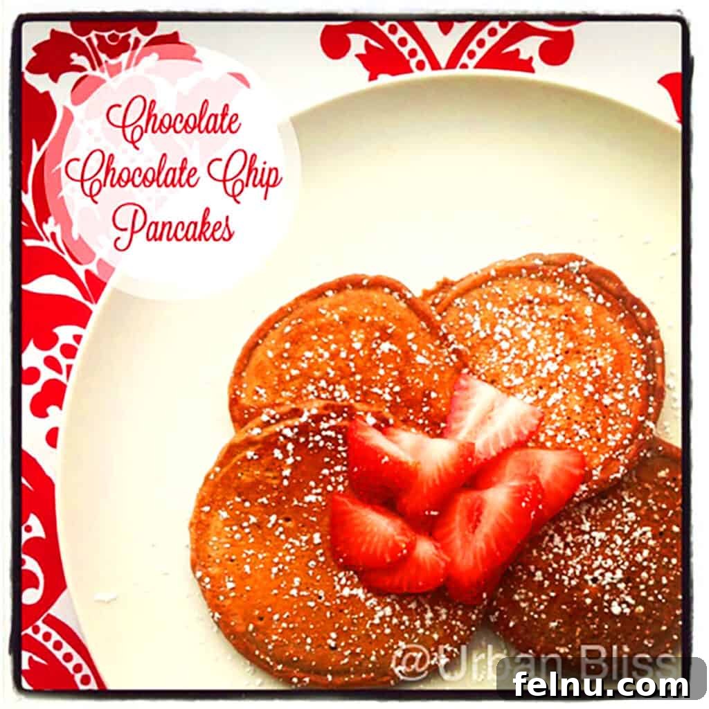 Double Chocolate Delight Pancakes 2 Chocolate Chocolate Chip Pancakes with Strawberries