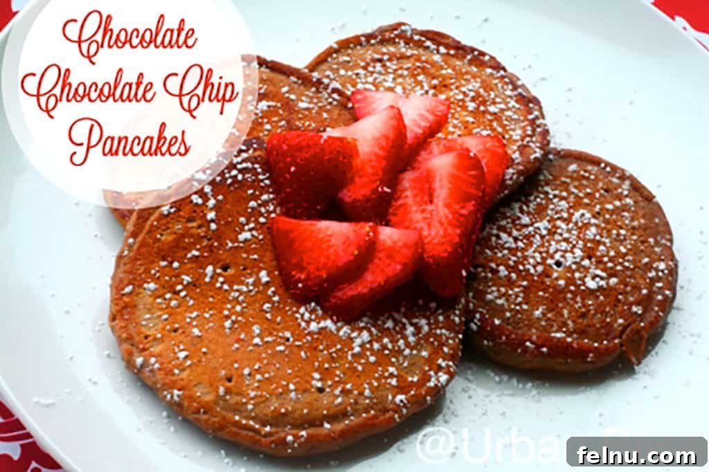 Double Chocolate Delight Pancakes 3 Close-up of Chocolate Chocolate Chip Pancakes