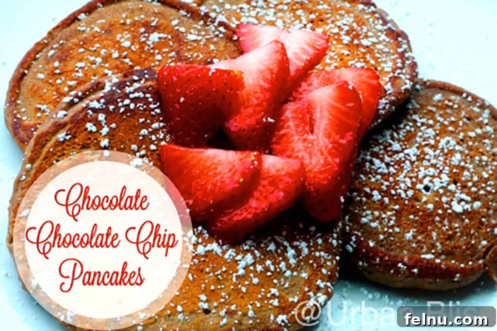 Double Chocolate Delight Pancakes 4 Ingredients for Chocolate Chocolate Chip Pancakes