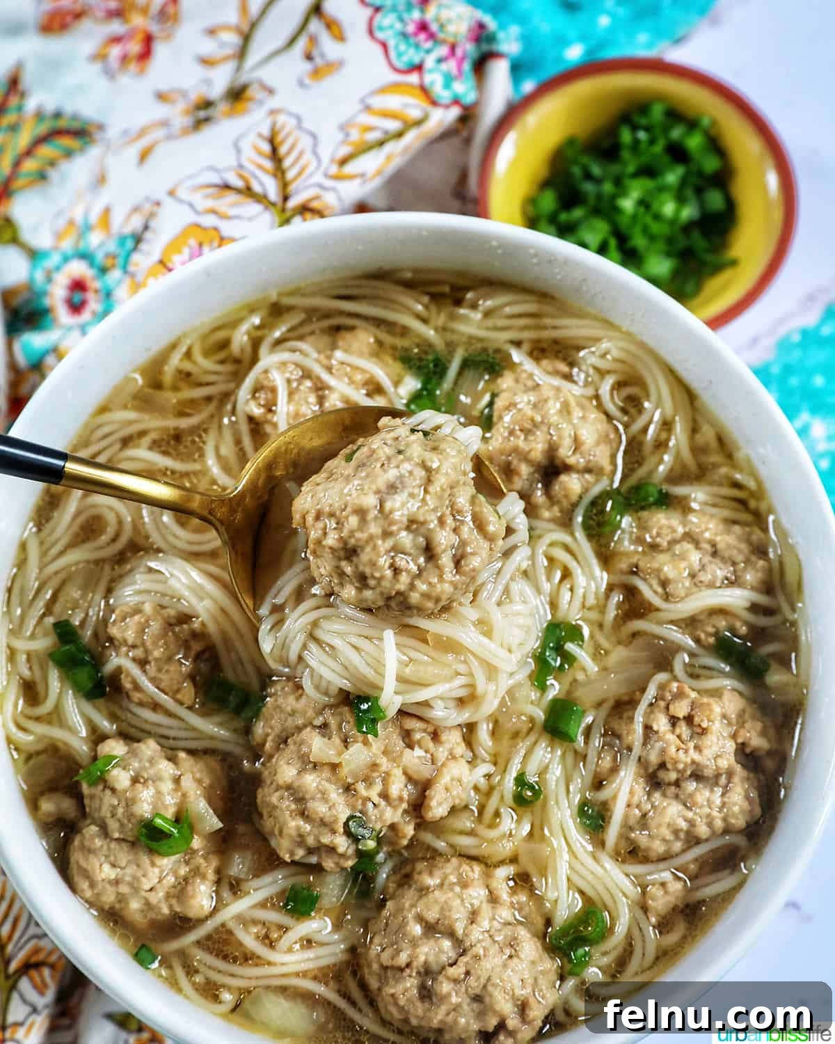 Spoonful of Filipino Almondigas