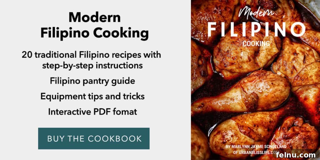 Modern Filipino Cooking cookbook ebook