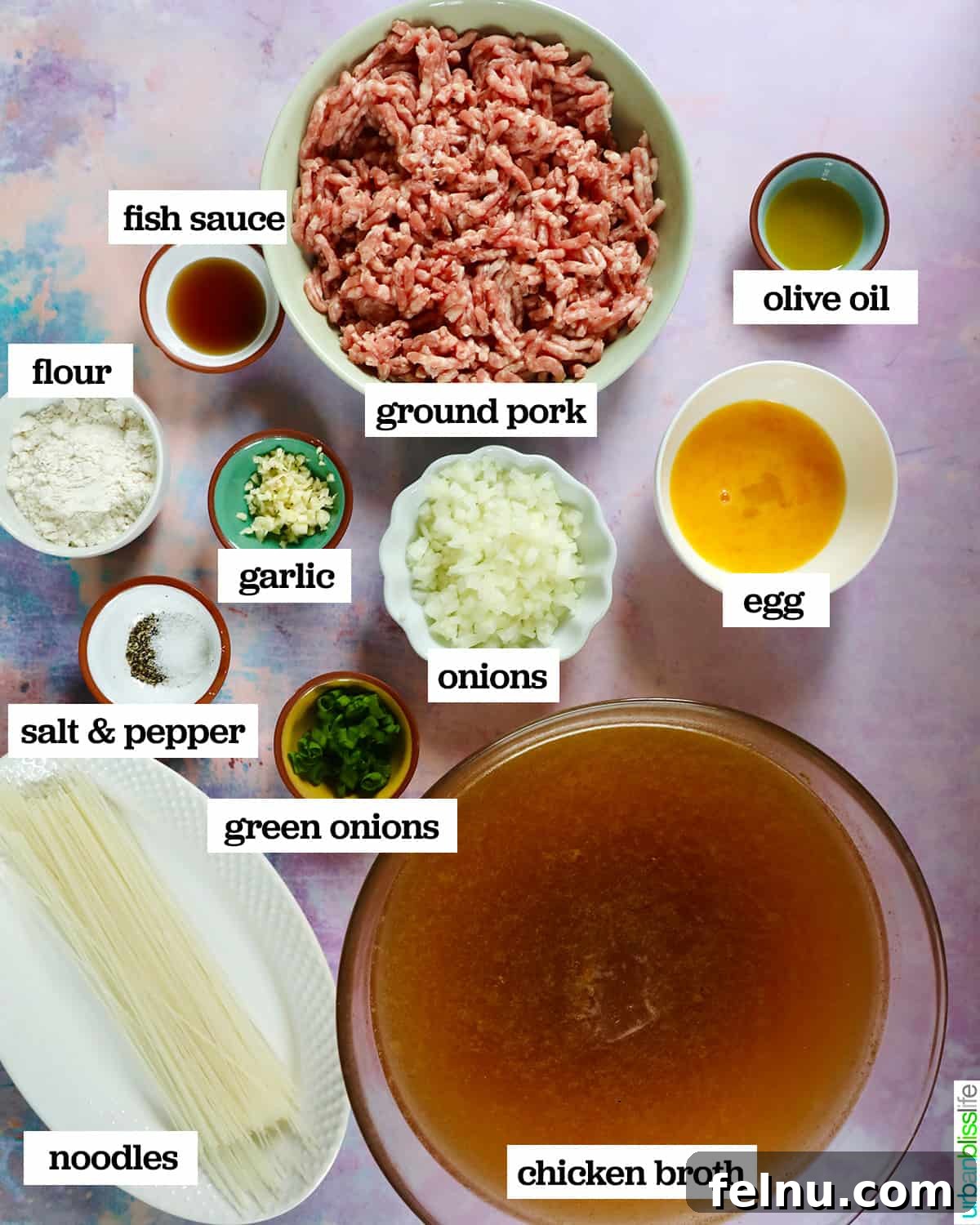 Ingredients for Filipino Almondigas