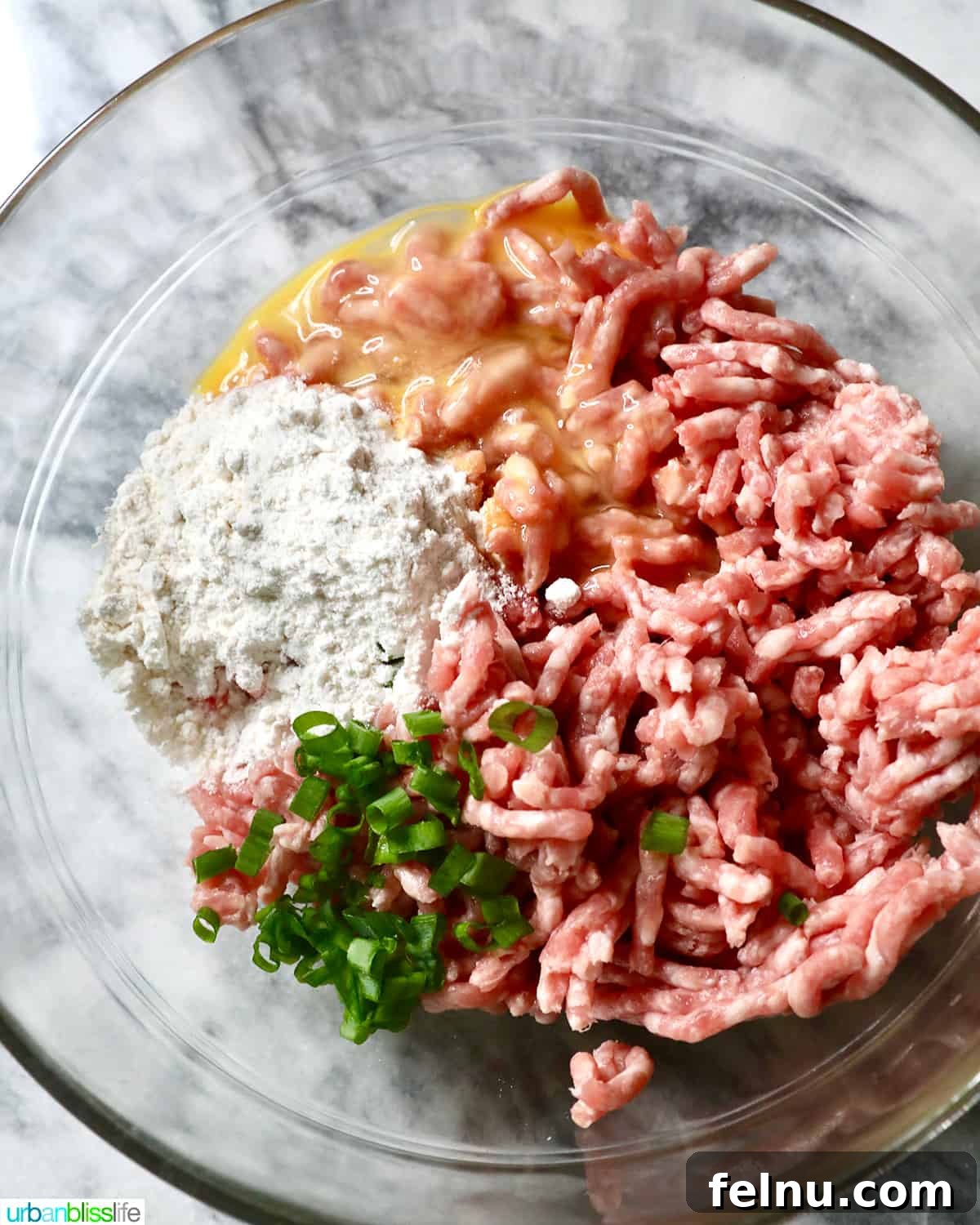 Mixing meat and spices for Almondigas