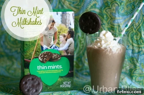 Girl Scout Thin Mint Milkshake: A Delicious Twist on a Classic Treat 3 Close-up of a Thin Mint Milkshake