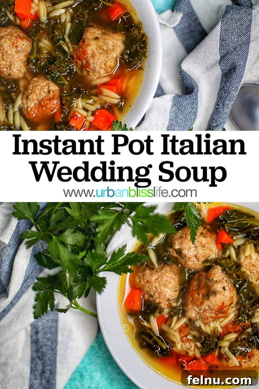 Italian Wedding Soup Pin