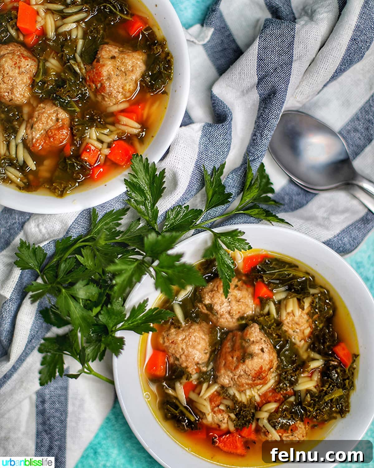 Two Bowls of Instant Pot Italian Wedding Soup
