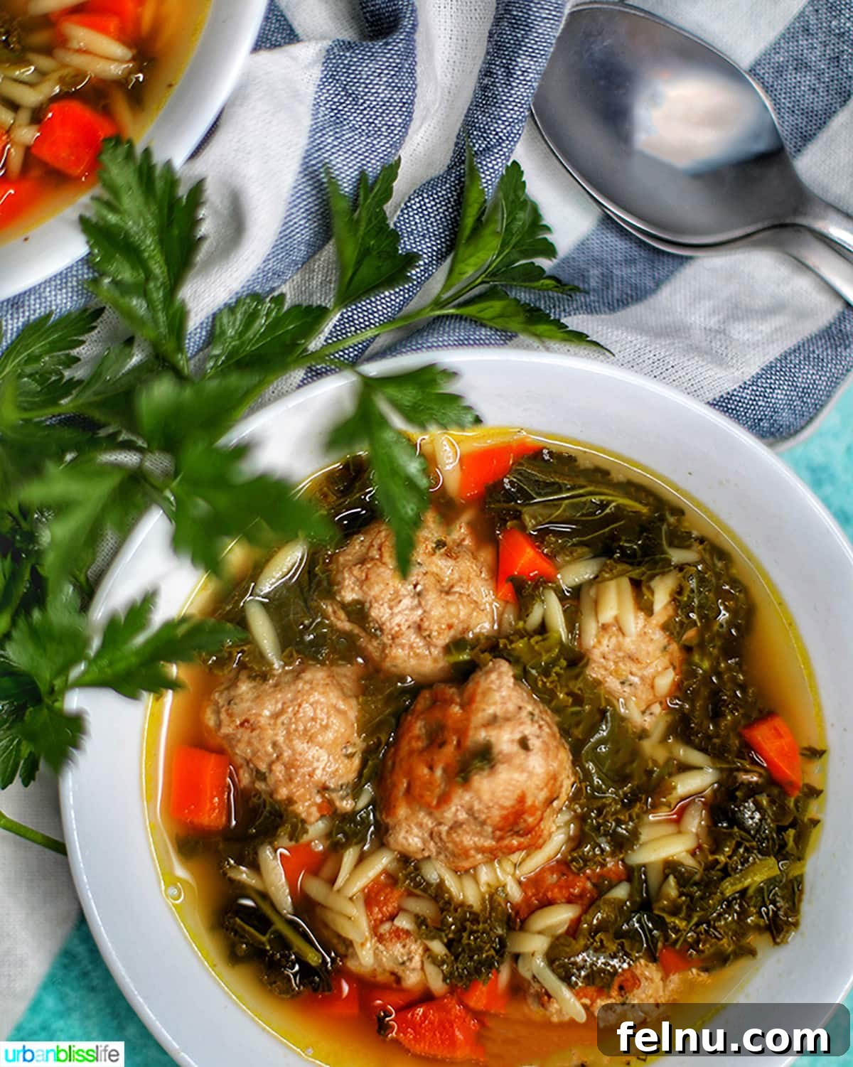 Close-up Bowl of Instant Pot Italian Wedding Soup