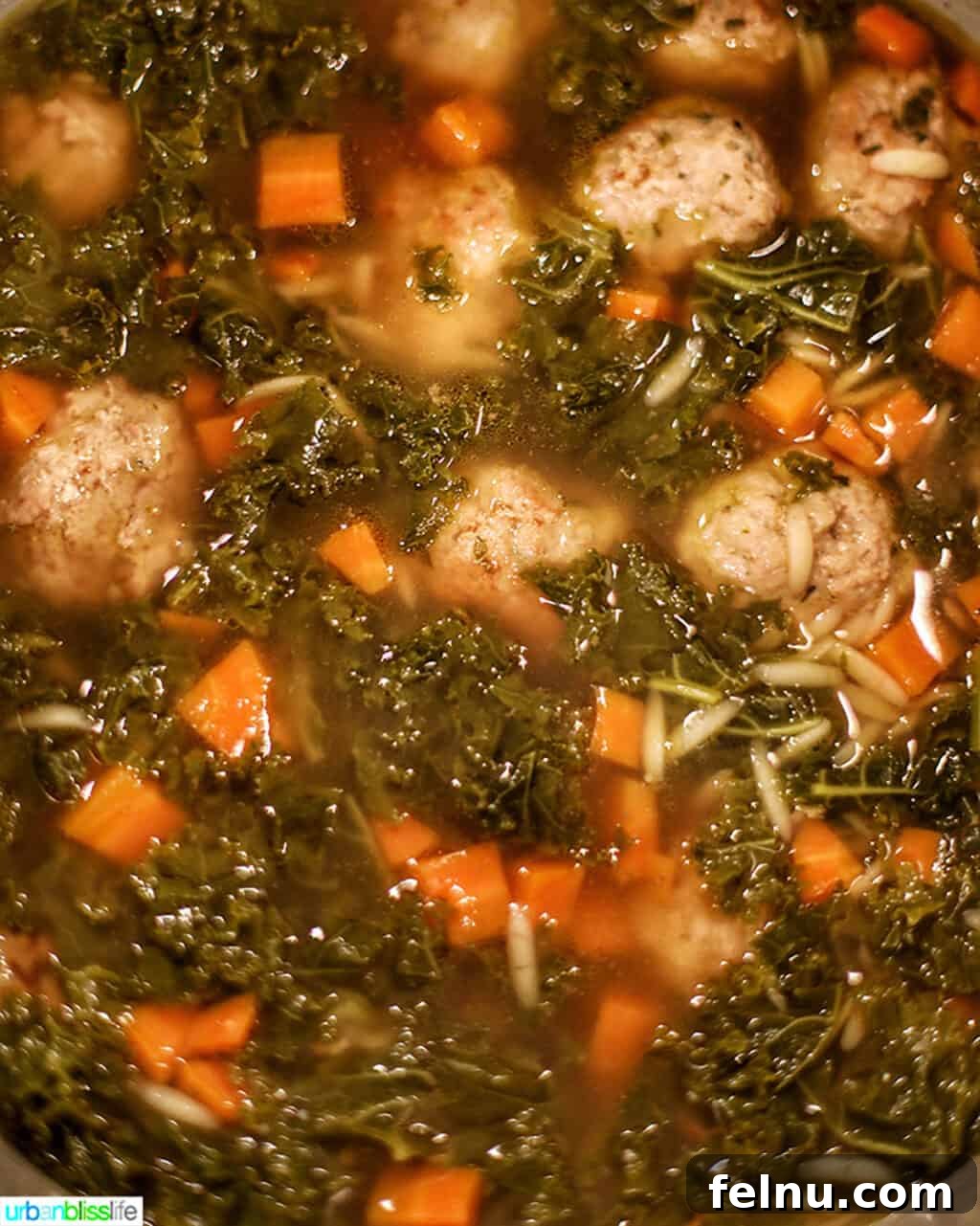 Italian Wedding Soup cooking in the Instant Pot