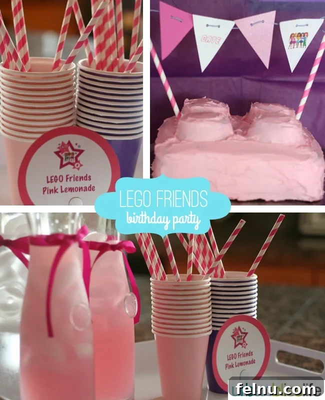 LEGO Friends Birthday Bash 5 LEGO Friends Birthday Party