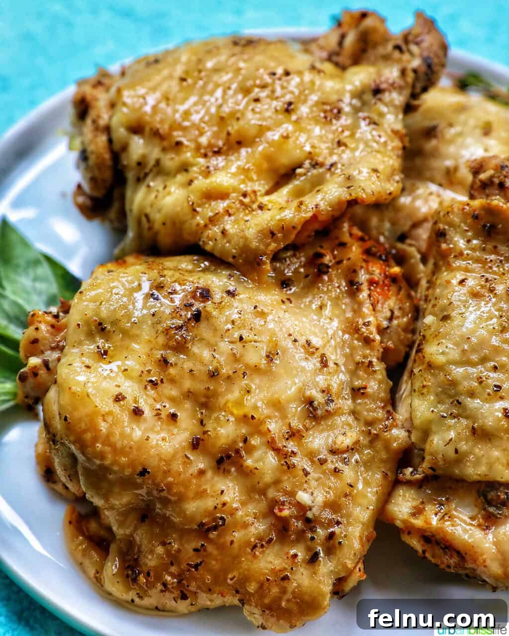 Instant Pot Chicken Thigh Recipe: Quick, Easy, and Delicious 2 Instant Pot Chicken Thighs served on a white plate