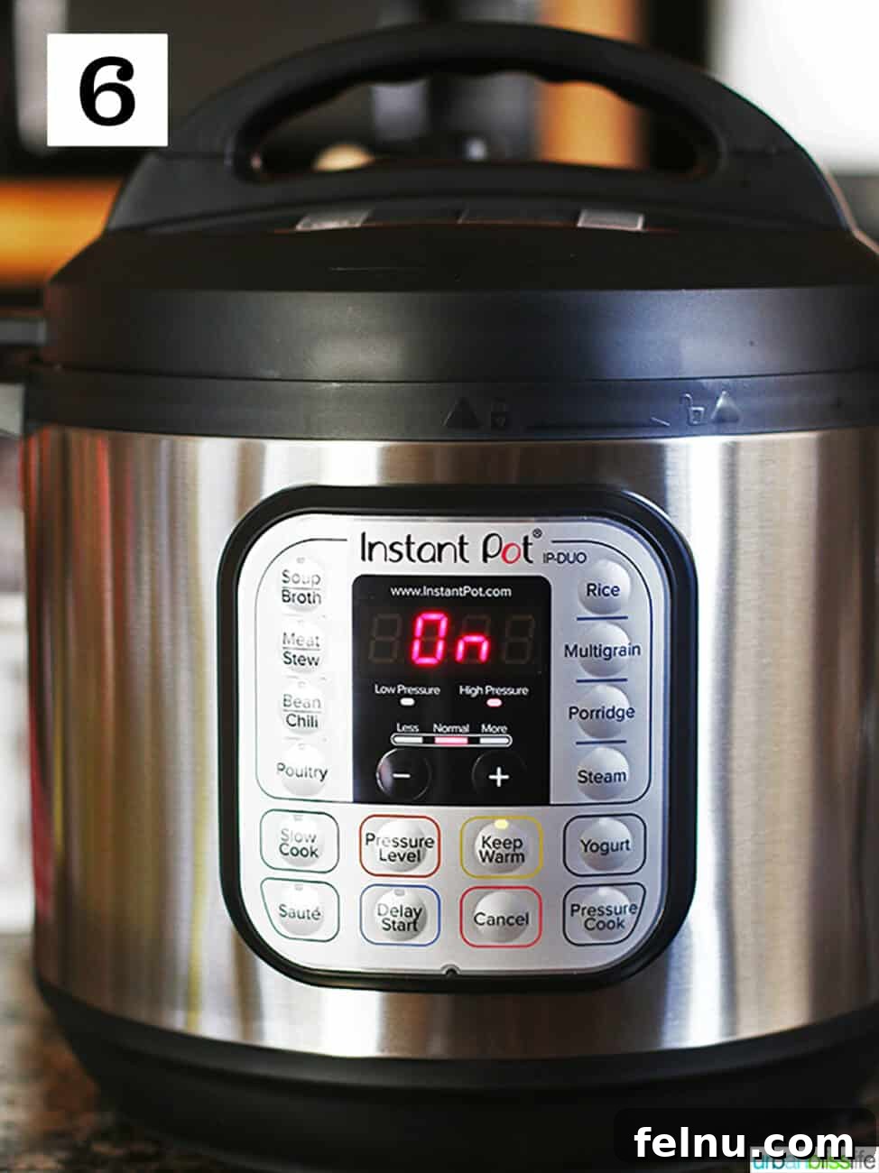 Instant Pot Chicken Thigh Recipe: Quick, Easy, and Delicious 11 Instant Pot display showing the cooking time