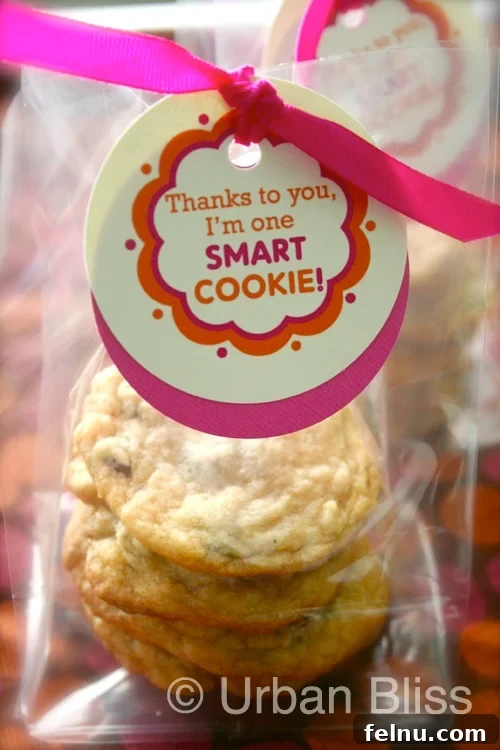 You're A Smart Cookie Teacher 2 Teacher Appreciation Week Printable: Smart Cookie gift tag attached to a beautifully packaged cookie gift