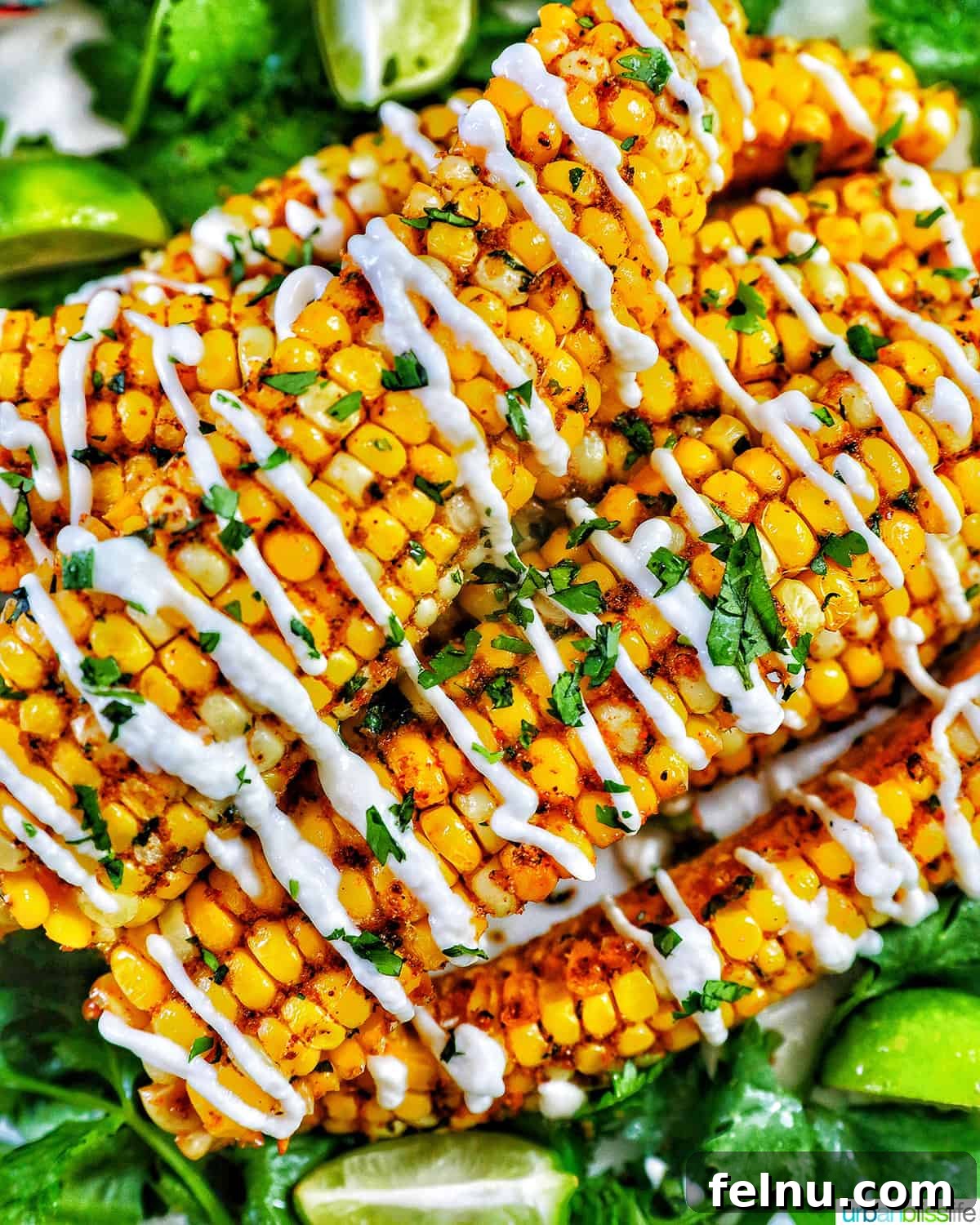 Air Fryer Corn "Ribs": A Crispy, Healthy Twist on a Classic 2 Air fryer corn ribs stacked on greens with mayo and cilantro.