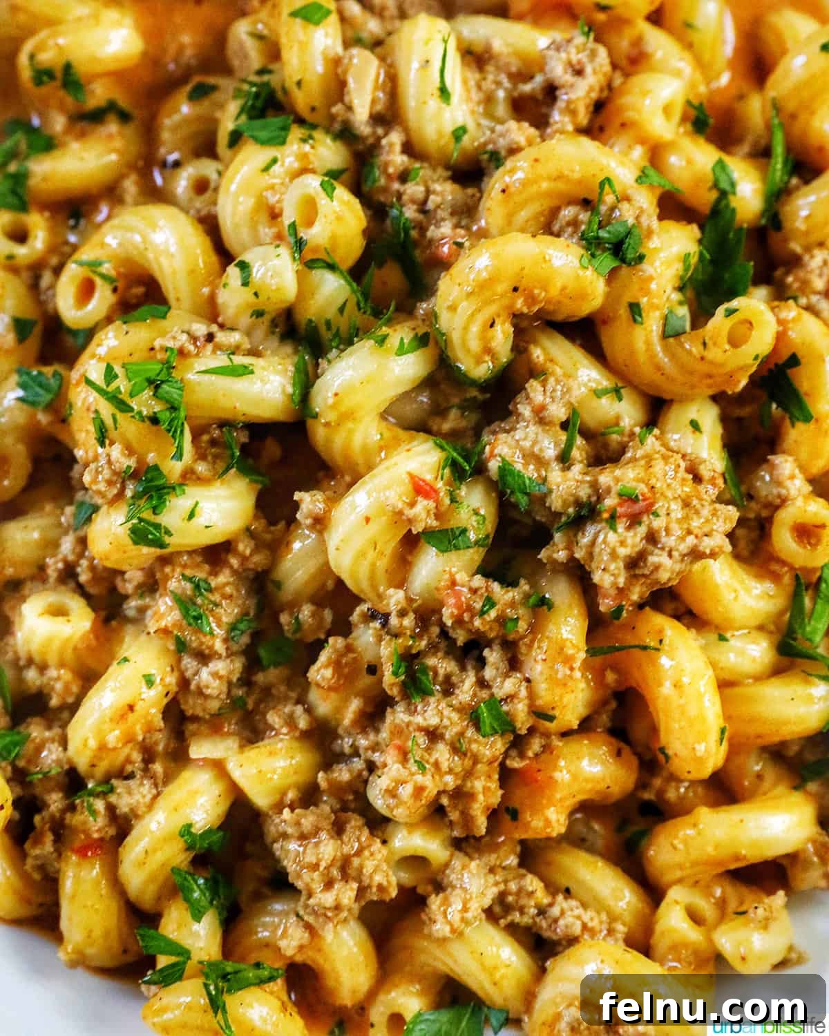 Creamy Dairy-Free Cheeseburger Mac Skillet 12 A close-up view of a bowl of dairy-free one-pot cheeseburger pasta, showcasing the creamy sauce, ground turkey, and fresh parsley garnish.