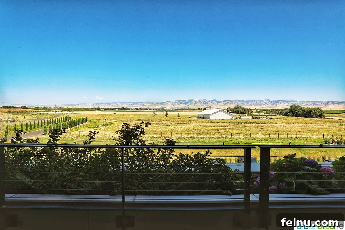 Valdemar Estates: A Legacy of Wine and Family 6 View of the Blue Mountains from Valdemar Estates.