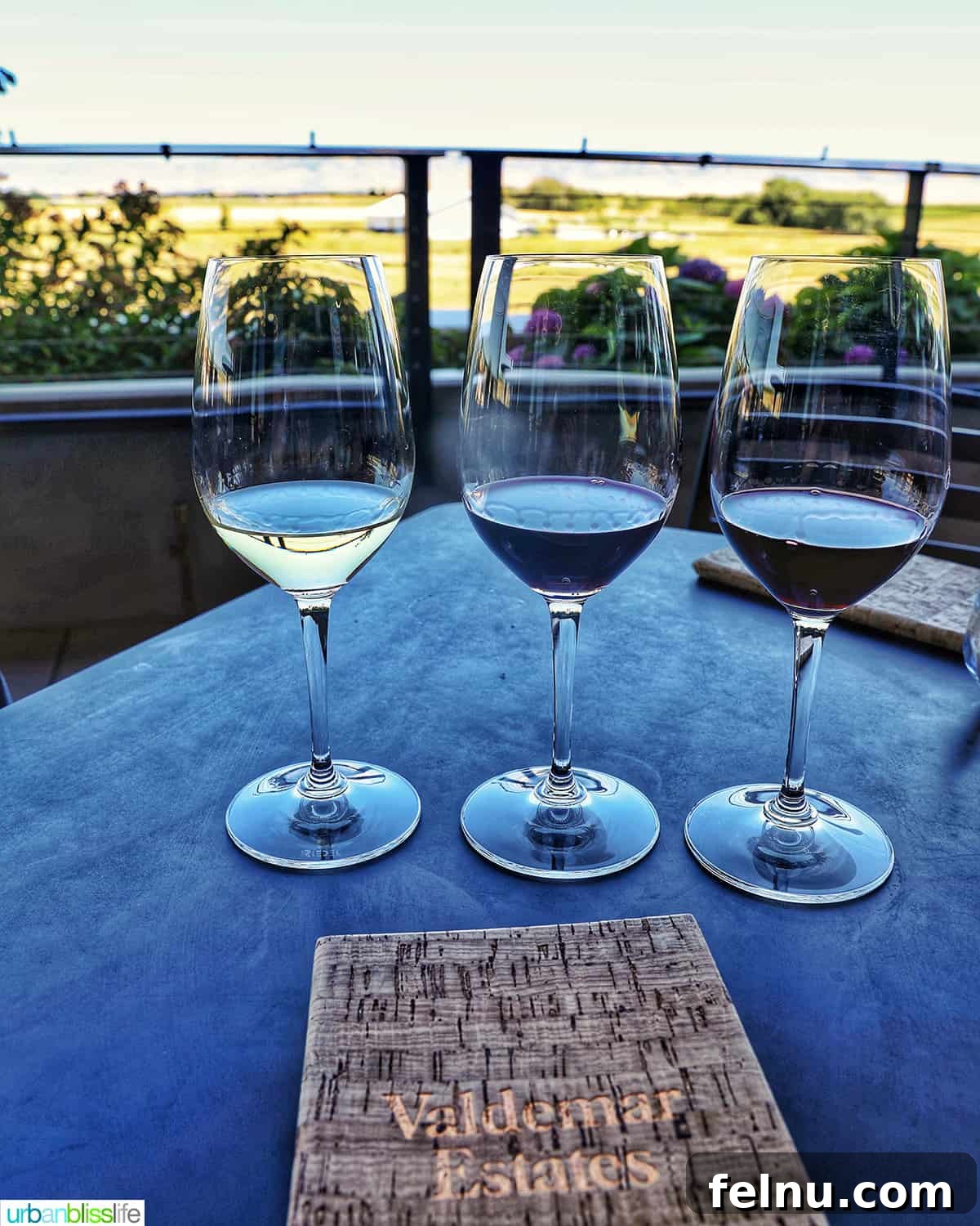 Valdemar Estates: A Legacy of Wine and Family 8 Washington wine flight with Blue Mountains view.