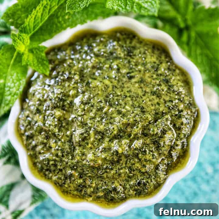 White scalloped bowl filled with mint pesto with mint leaves around the top of the bowl on a bright blue background.