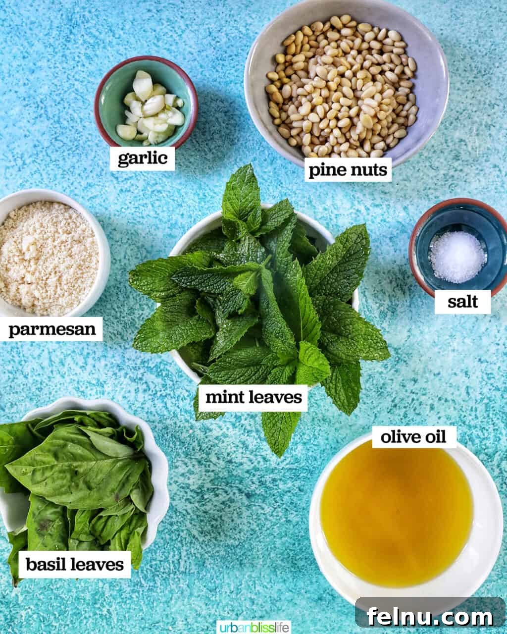 Zingy Mint Pesto 4 Individual bowls showcasing the fresh ingredients needed for mint pesto: vibrant mint, aromatic basil, golden olive oil, grated parmesan, crisp pine nuts, and pungent garlic.