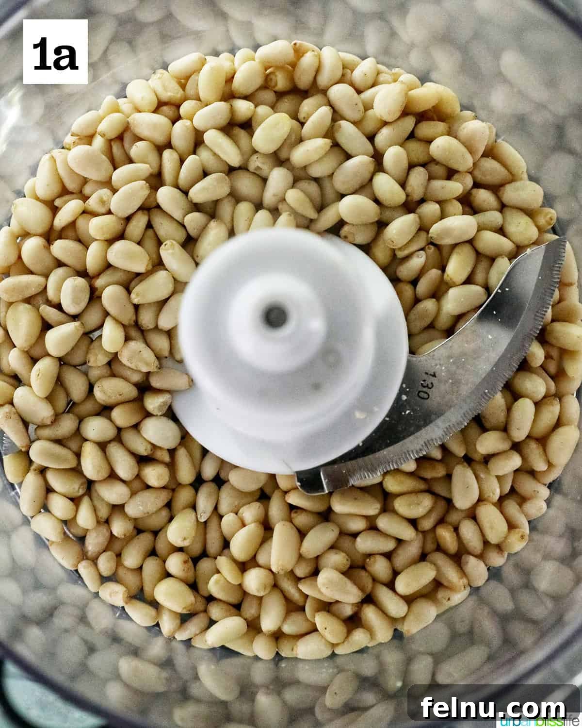 Zingy Mint Pesto 5 Whole pine nuts resting in the bowl of a food processor, ready for blending.