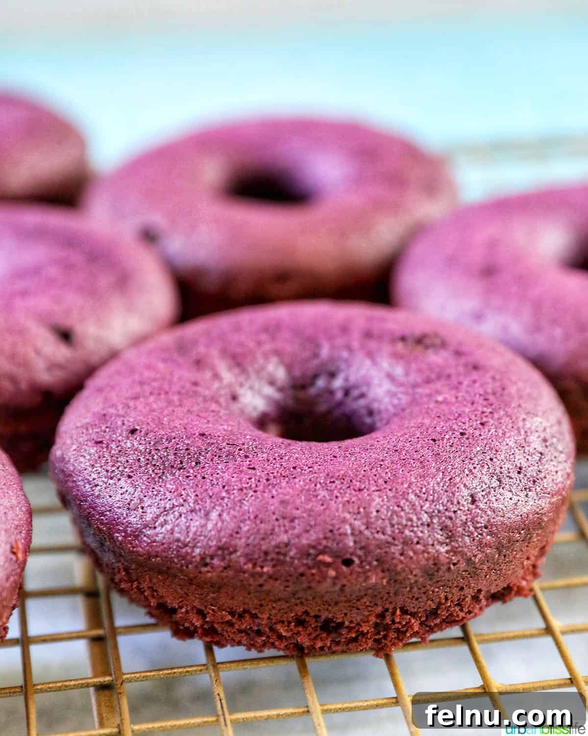 Ube Dream Donuts 18 Purple ube donuts baked and on a baking rack.