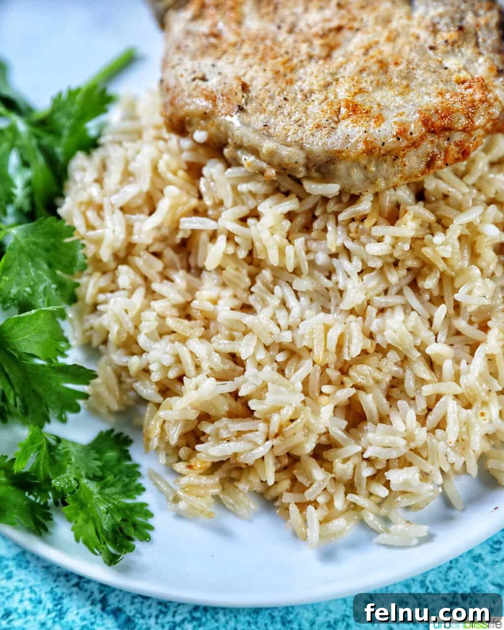 Instant Pot Pork Chop Rice Bowl 14 Instant Pot Pork Chops and Rice displayed on a white plate with a side of vibrant greens.