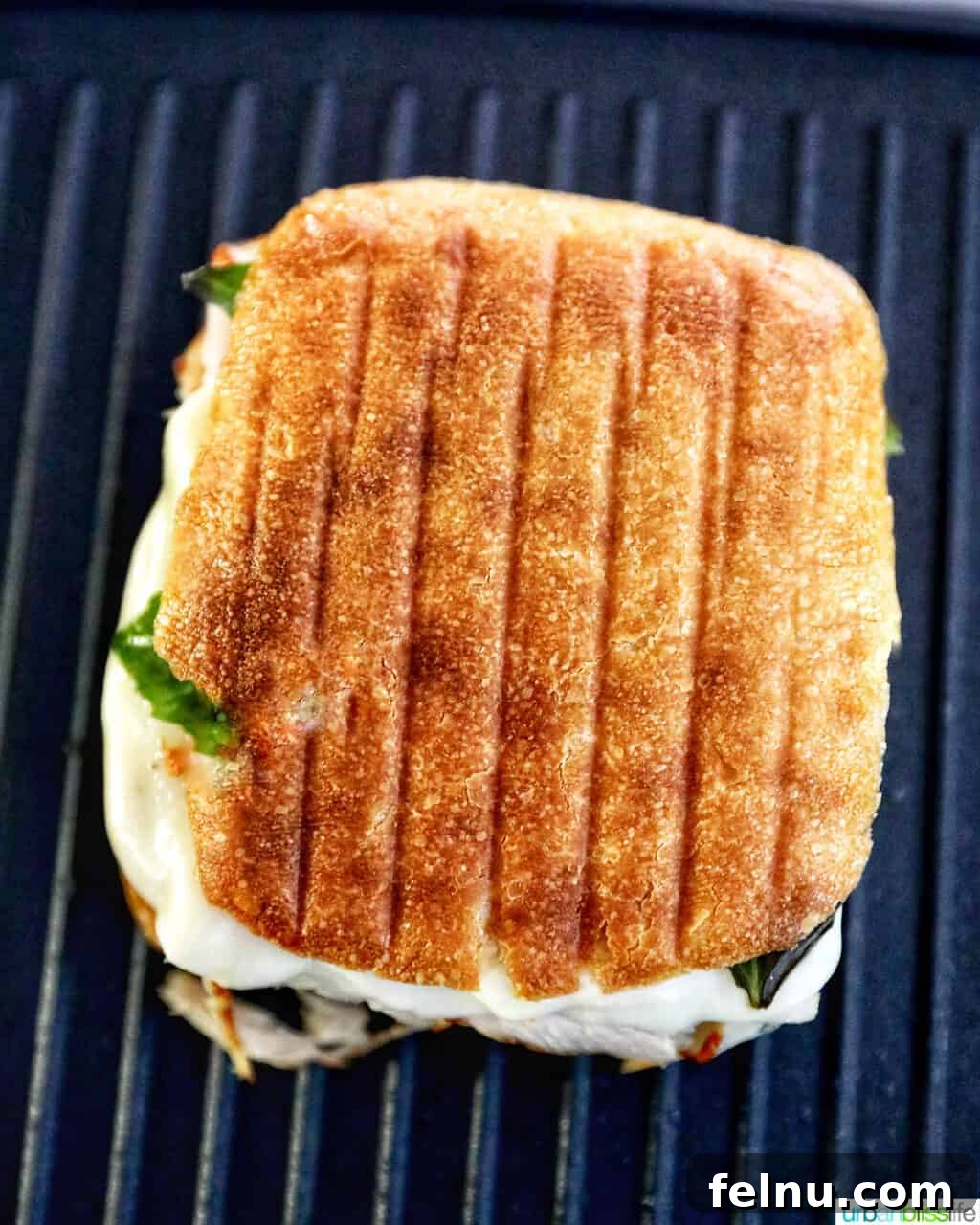 Cooked Turkey Pesto Sandwich on a panini press grill