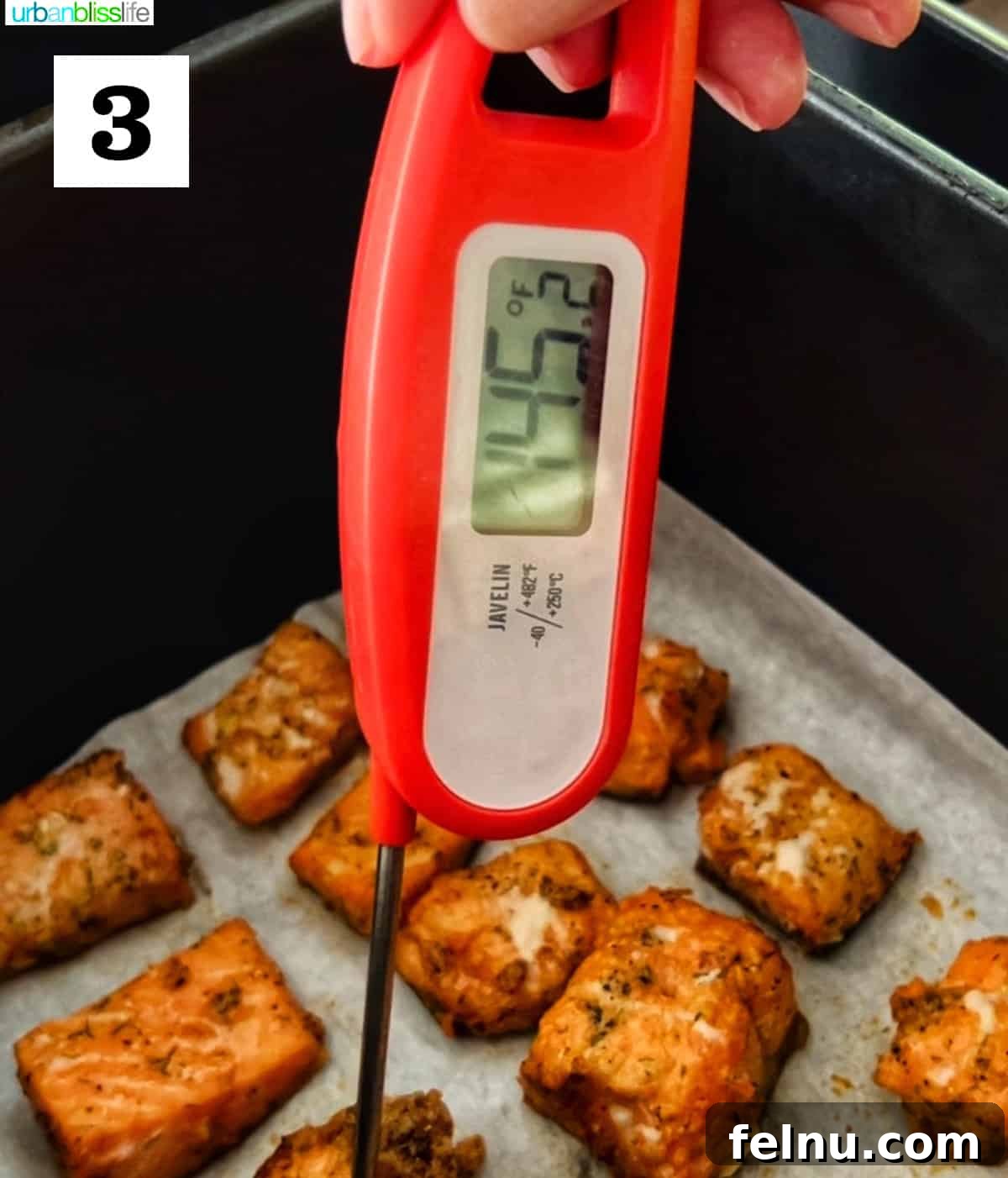 Golden Crispy Salmon Bites 7 meat thermometer reading 145 degrees going into air fryer salmon bites.