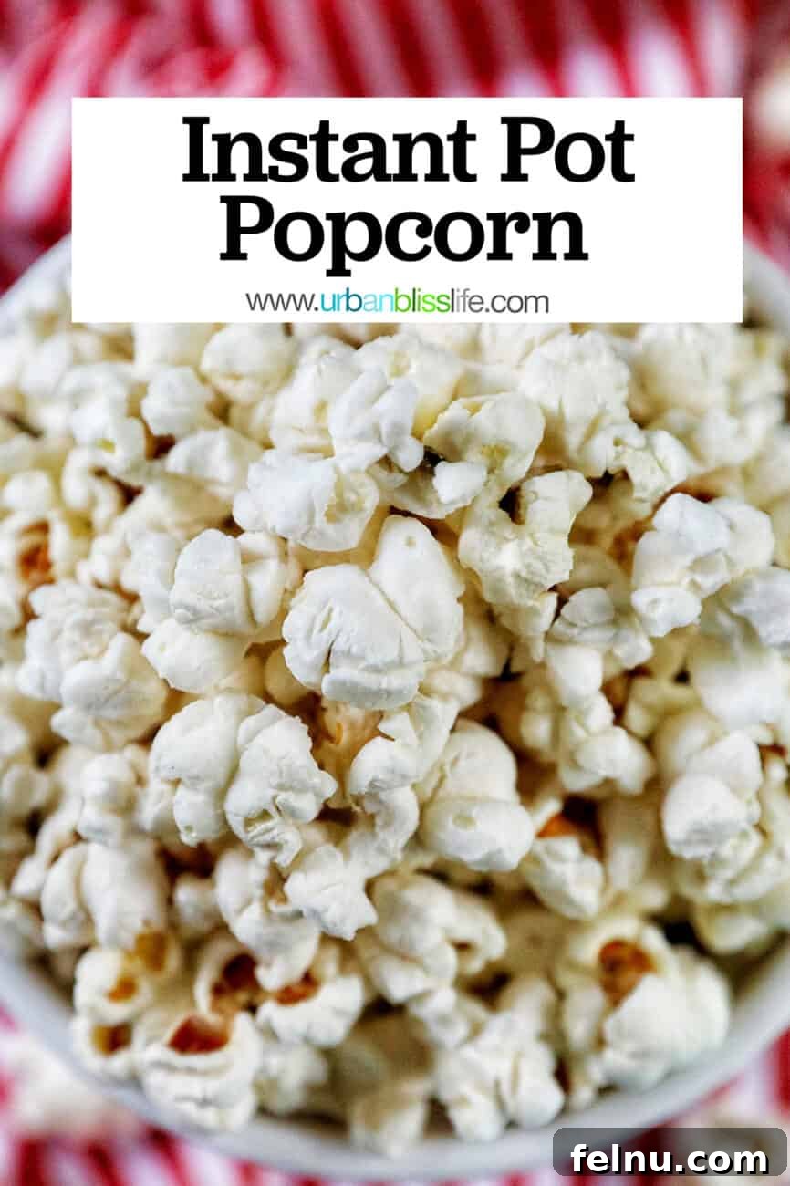 Instant Pot Popcorn Perfection 12 Pin for Instant Pot Popcorn Recipe