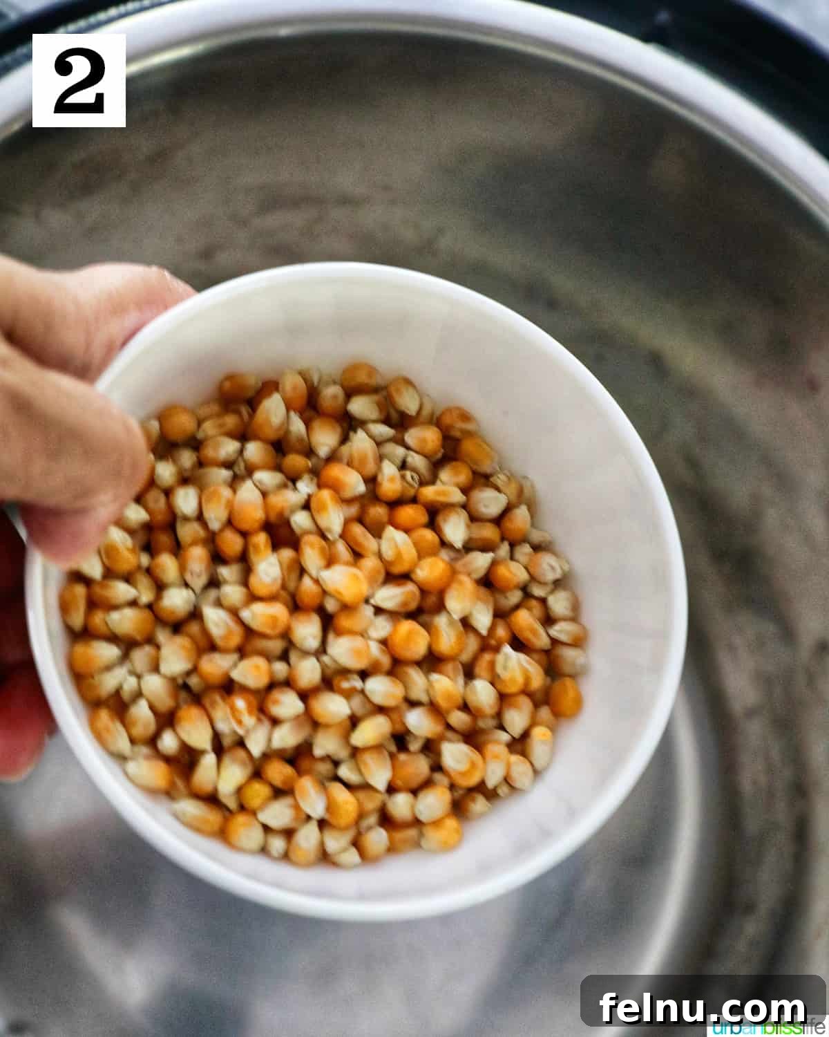 Instant Pot Popcorn Perfection 6 Adding popcorn kernels to an Instant Pot