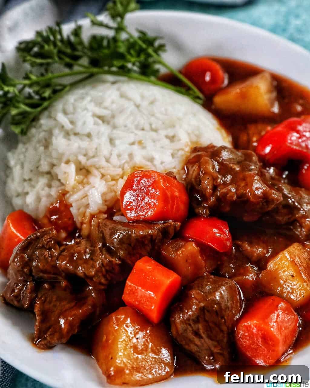 Hearty Filipino Beef Stew: Mechado 2 Filipino Beef Mechado served with rice