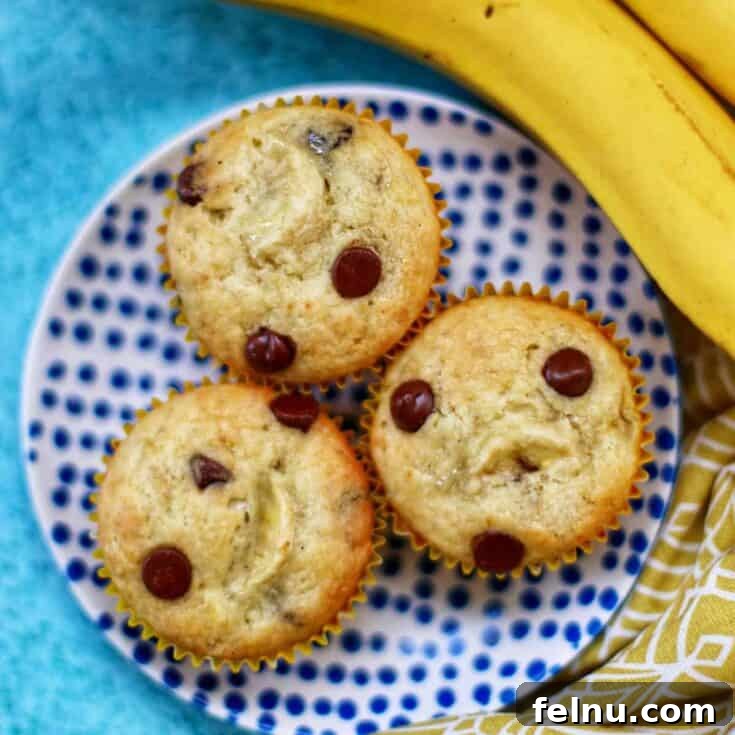 Freshly baked banana chocolate chip muffins.