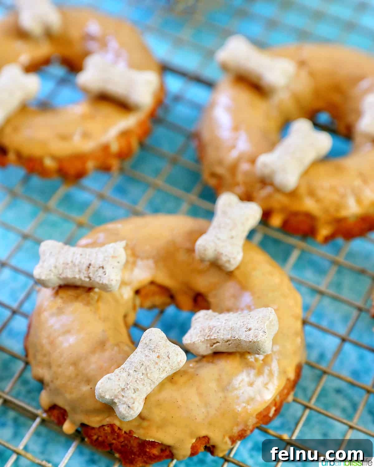 Safe and Unsafe Foods for Dogs 4 three glazed dog donuts with dog biscuits on a cooling rack.
